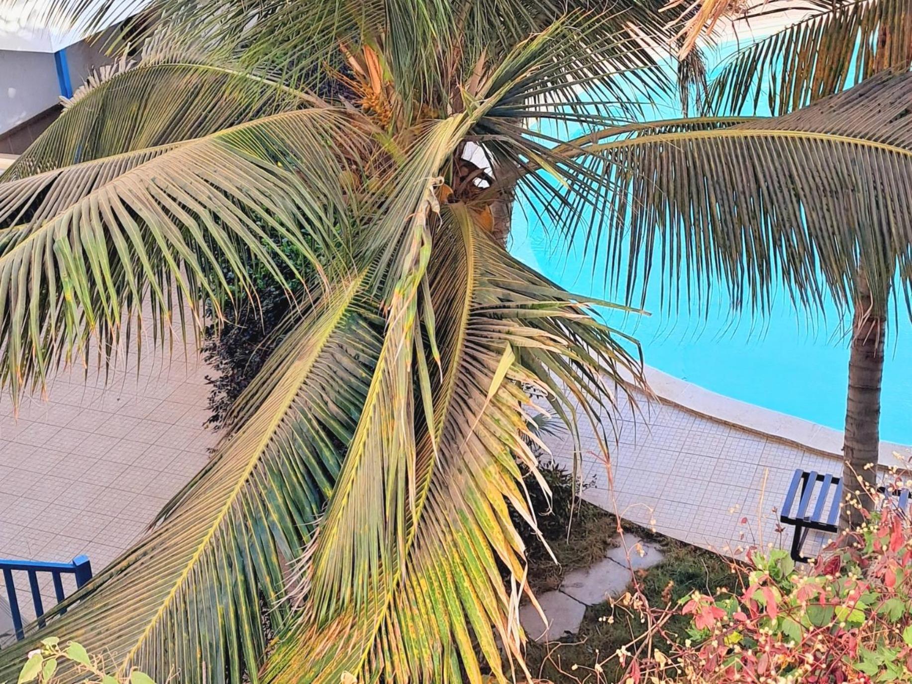 Sal Service Leme Bedje Residence Santa Maria Εξωτερικό φωτογραφία